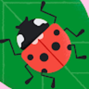 Meet your Posher, Doris